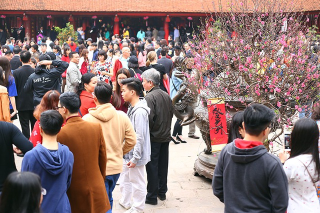  Sân Thái học trở nên đông đúc, nhộn nhịp 