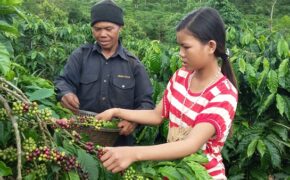 “Người hùng thầm lặng” của buôn làng Tây Nguyên