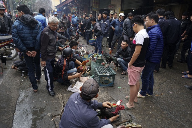  Chợ gà chọi là một mảng buôn bán trong phiên chợ cổ Hà Đông, họp vào các ngày 5, 10, 15, 20, 25, 30 Âm lịch hàng tháng. Chợ bán chủ yếu các loại gia súc gia cầm, cây cảnh, trong đó khu bán gà chọi đông nhất. 