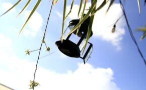 Khép trang nhật ký 10 năm bên nhau, em chấp nhận ra đi