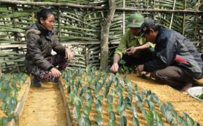 Nỗ lực giúp dân tái định cư ổn định cuộc sống