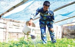 Tốt nghiệp ĐH Ngoại thương, tình nguyện ra Trường Sa