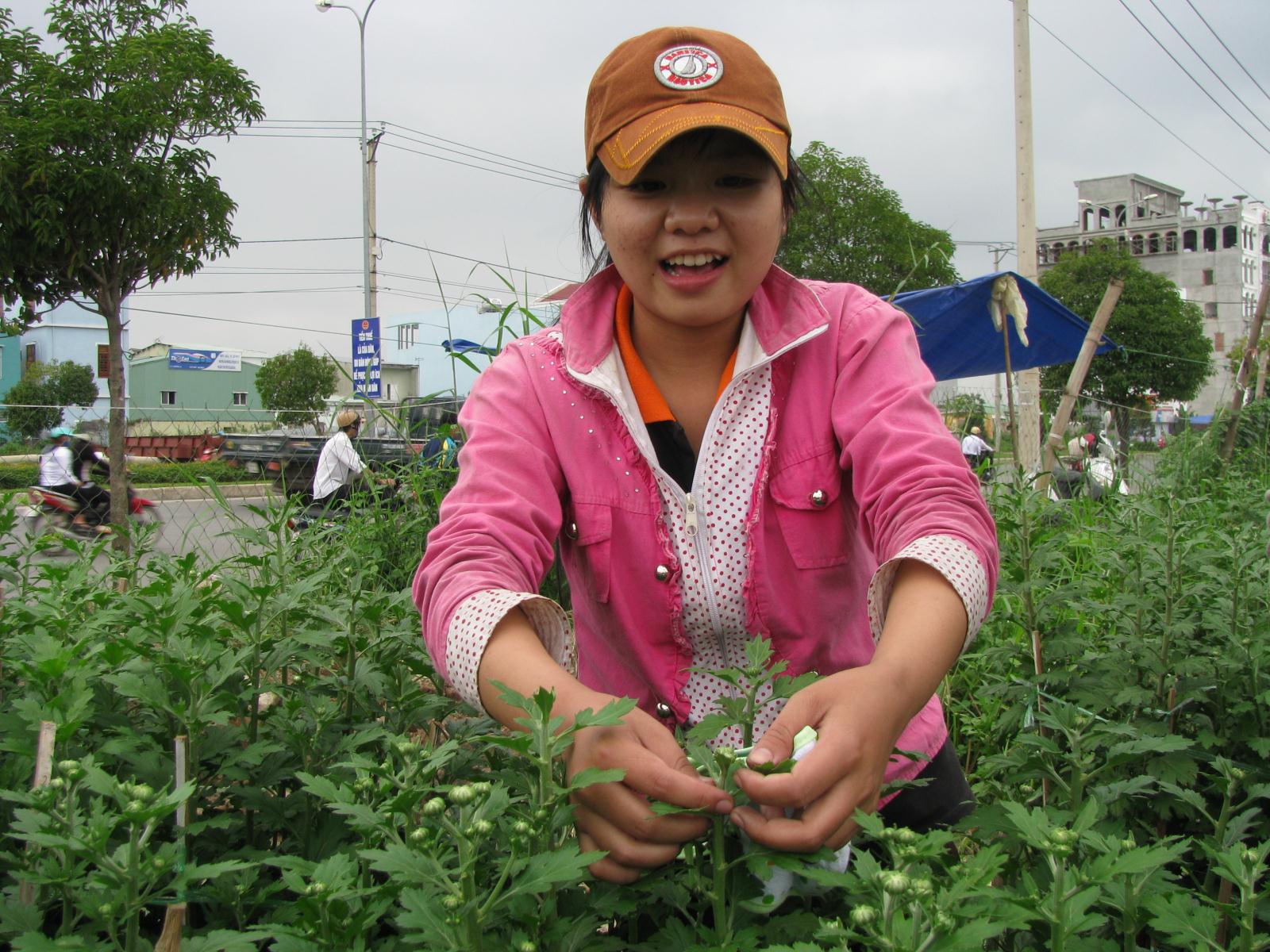 Sinh viên Đà Nẵng làm 