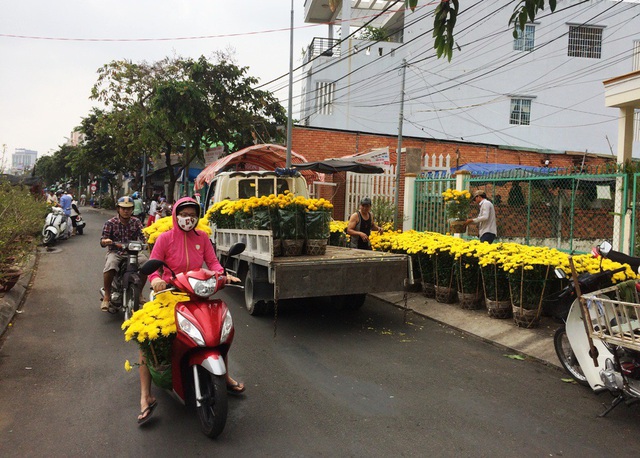 Người dân TP Cần Thơ rộn ràng mua hoa về chưng tết