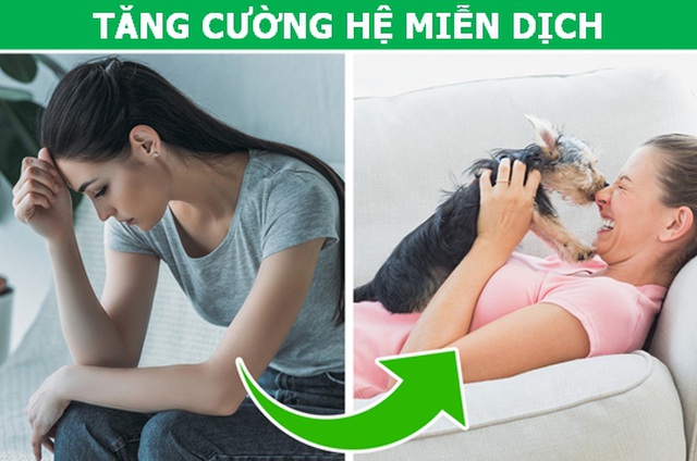 Lợi ích thần kỳ khi cho thêm một muỗng tinh bột nghệ vào sữa - 3