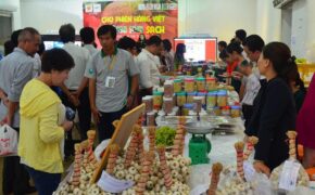 Đội mưa tới hội chợ ăn rau củ sạch không cần rửa