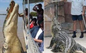 Thót tim trước những công việc nguy hiểm nhất hành tinh