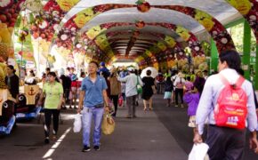 Khuyến khích dùng túi cói thay túi nhựa nhưng bán giá 20.000 đồng/chiếc