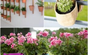 Những lưu ý khi tạo không gian xanh cho nhà phố