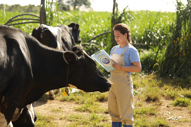 Sữa Cô gái Hà Lan tự hào có nguồn sữa nguyên liệu lớn và an toàn hơn chuẩn 11 lần - 1