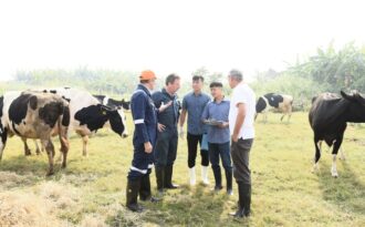 Sữa Cô gái Hà Lan tự hào có nguồn sữa nguyên liệu lớn và an toàn hơn chuẩn 11 lần