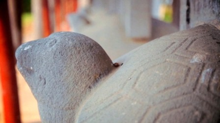 Rùa đá xưa đội bia tại Văn Miếu Huế