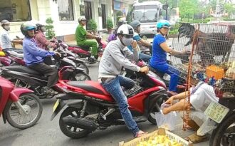 Dân Huế thích thú ngắm cặp gà 6 triệu đồng