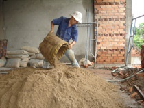 Sinh viên đi phụ hồ