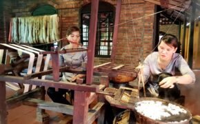 Bao giờ ngành trồng dâu, nuôi tằm Việt Nam mới trở lại thời hoàng kim?