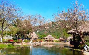 Hành trình StartUp Journey 2019 của thanh niên Việt Nam lan tỏa đến An Giang