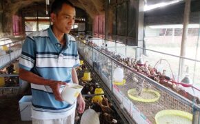 Gặp ông chủ trẻ “chế” ra máy ấp trứng đặc biệt