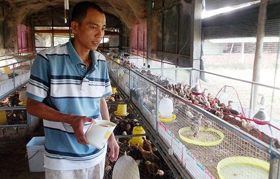 Gặp ông chủ trẻ “chế” ra máy ấp trứng đặc biệt