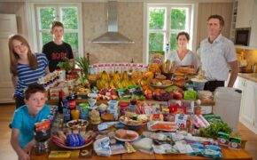 Người dân thế giới chi tiêu hết bao nhiêu tiền thực phẩm trong 1 tuần?