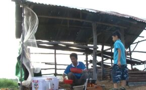 Hành trình rèn luyện kĩ năng sống cho trẻ