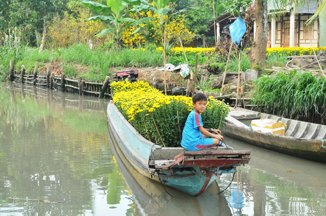 Ở nông thôn, người dân đang tất bật đưa hoa về phố để kịp bán trong mấy ngày tết còn lại