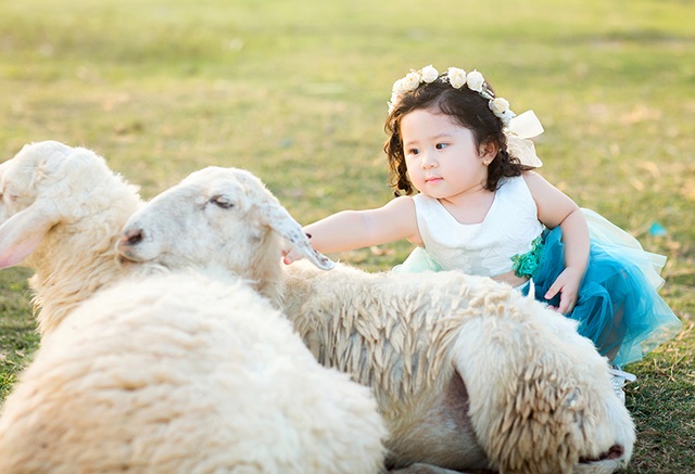 Gia đình cho Mimi nghe kể truyện dành cho trẻ em và tiếp xúc thẻ hình.