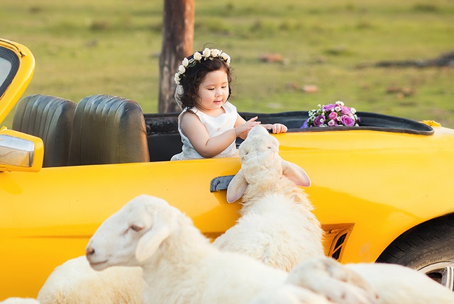 Mẹ Mimi hay đưa con đi theo đi làm, đi ngoại giao, đi chơi thực tế và qua đó dạy Mimi nhiều điều.