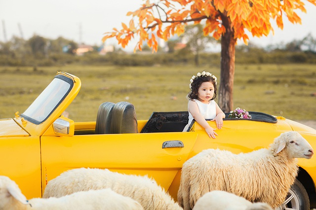 Để có cách dạy con thông minh, gia đình của bé “mẫu nhí” đáng yêu này tìm hiểu qua nhiều sách báo, kết hợp với sự đúc kết quan điểm dạy con của gia đình.