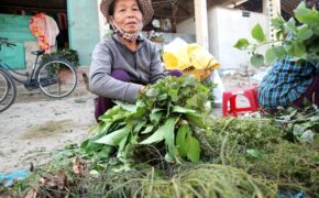 Tấp nập chợ “lá mùng 5” dịp tết Đoan Ngọ