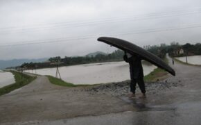 Khi sinh viên “xung trận” mùa lũ