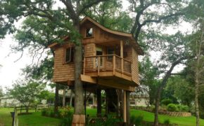 Những ngôi nhà cây ấn tượng như chỉ có trong… giấc mơ