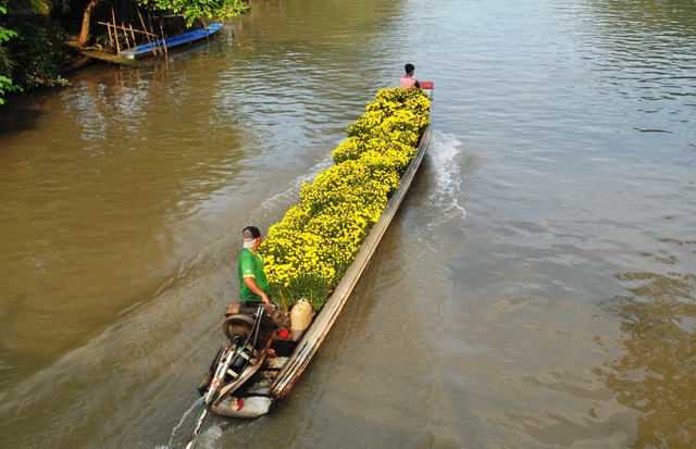 Người dân miền Tây dùng vỏ lãi, chẹt... chở hoa về phố