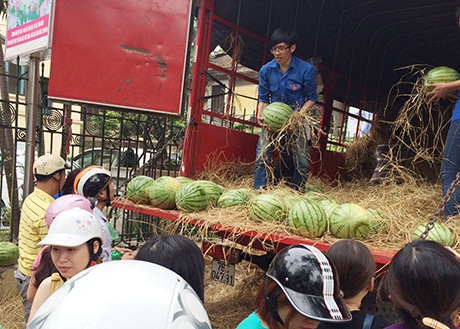 Tình nguyện viên luôn tay bưng vác những quả dưa nặng tới 10 kg