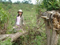 Một mình sơn nữ chống lại lâm tặc