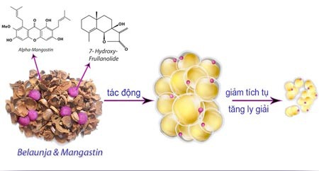 Nhận diện thuốc giảm cân không an toàn