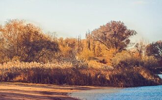 Ngỡ ngàng thiên nhiên Sông Đông qua ống kính du học sinh Việt