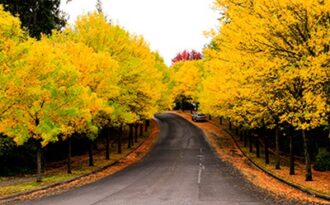 Mùa thu nước Mỹ tuyệt đẹp qua ống kính chàng kỹ sư gốc Việt