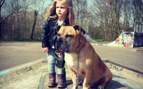 Ấn tượng chùm ảnh tình bạn giữa bé gái và cún cưng