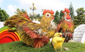 Chiêm ngưỡng những mô hình gà “khủng” chào Xuân Đinh Dậu