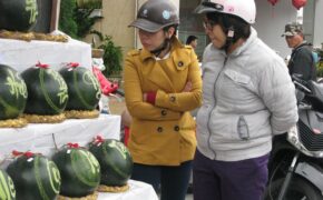 Đà Nẵng: Dưa hấu khắc chữ hút khách