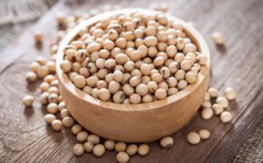 Công thức lấy đà cho trẻ phát triển toàn diện