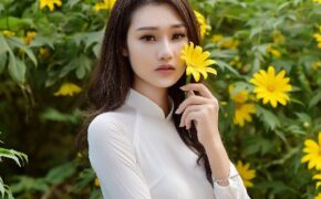 Thiếu nữ đất Cố đô khoe sắc bên hoa dã quỳ đầu mùa