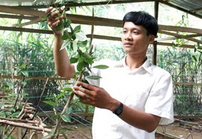 “Trùm” sâm ba kích