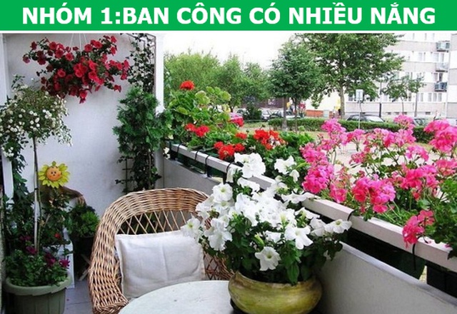 Trồng cây cảnh ở ban công chung cư, làm sao để vừa đẹp vừa nhàn? - 3