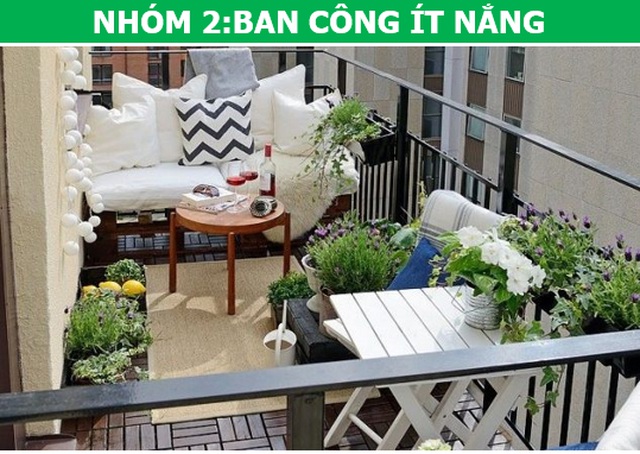 Trồng cây cảnh ở ban công chung cư, làm sao để vừa đẹp vừa nhàn? - 8