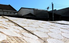 Nghề làm bánh tráng nước cốt dừa Hoài Nhơn