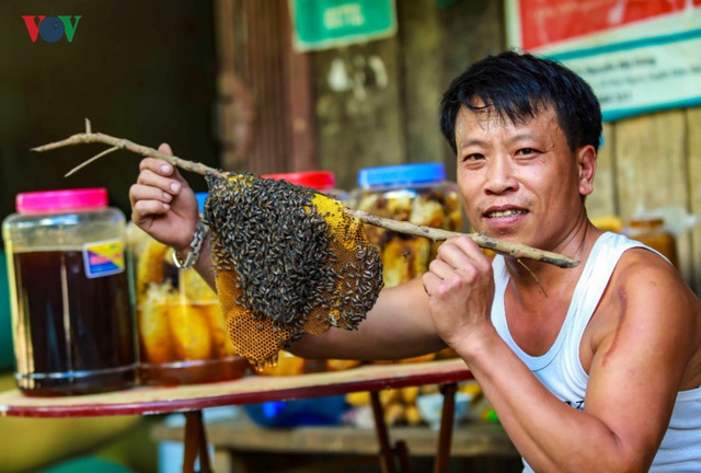 Anh Bùi Duy Nhất (41 tuổi), ở bản Na Sang 1, xã Núa Ngam (Điện Biên) là một trong những người hiếm hoi ở Việt Nam có thể thuần phục đàn ong rừng.