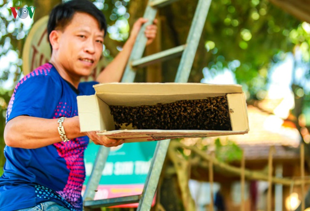 Nhờ đó anh đã luyện được khả năng nghe tiếng ong bay cách xa cả trăm mét, phát hiện tổ để lấy mật. Với một đàn ong bình thường, anh chỉ mất chừng 5 phút là đã có thể thu phục được đem về. Anh Nhất cho biết đã truyền lại bí kíp cho nhiều người muốn theo học, nhưng không ai làm được.