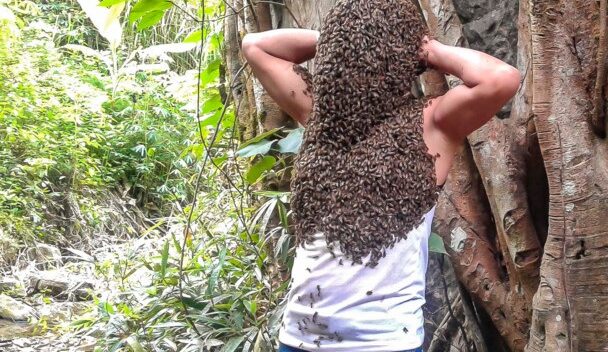 Kỳ lạ: Cây “Ong thần” và Người đàn ông để đàn ong bu kín người