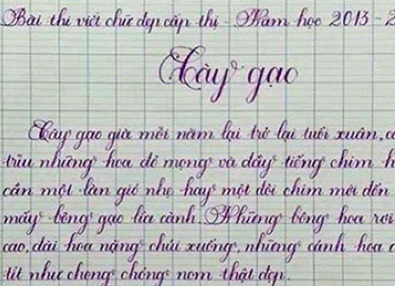 Nữ sinh tiểu học viết bài văn “Cây gạo” đẹp như in